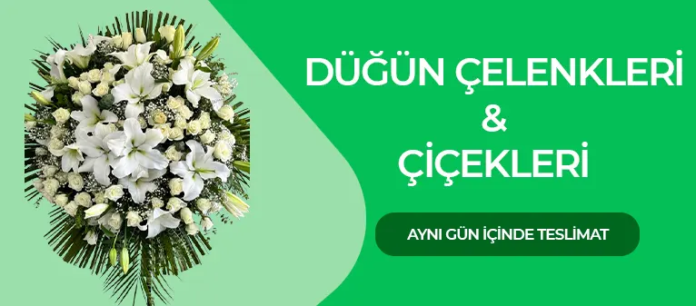 Nikah & Düğün